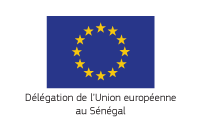 Délégation de l'Union européenne au Sénégal 