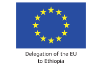 EU Delagation to Ethiopia